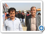 margade emam 94 (13)