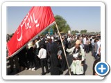 margade emam 94 (19)