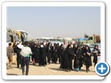 margade emam 94 (21)
