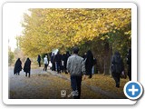 Negar_1731400503838
