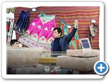 Negar_1731402986352