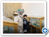 Negar_1731403013723