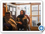 Negar_1731403143800